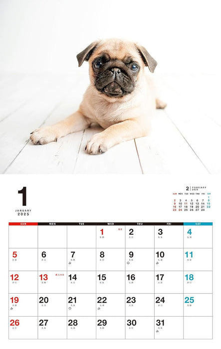 I LOVE Pug Calendar 2025 (Monthly/Wall Calendar)