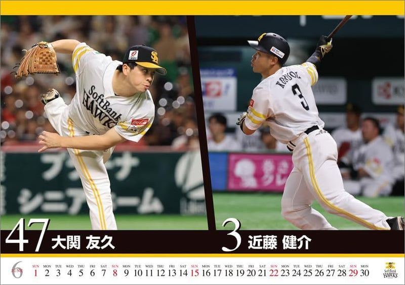 Hagoromo Fukuoka Softbank Hawks 2025 Desk Calendar CL25-0590