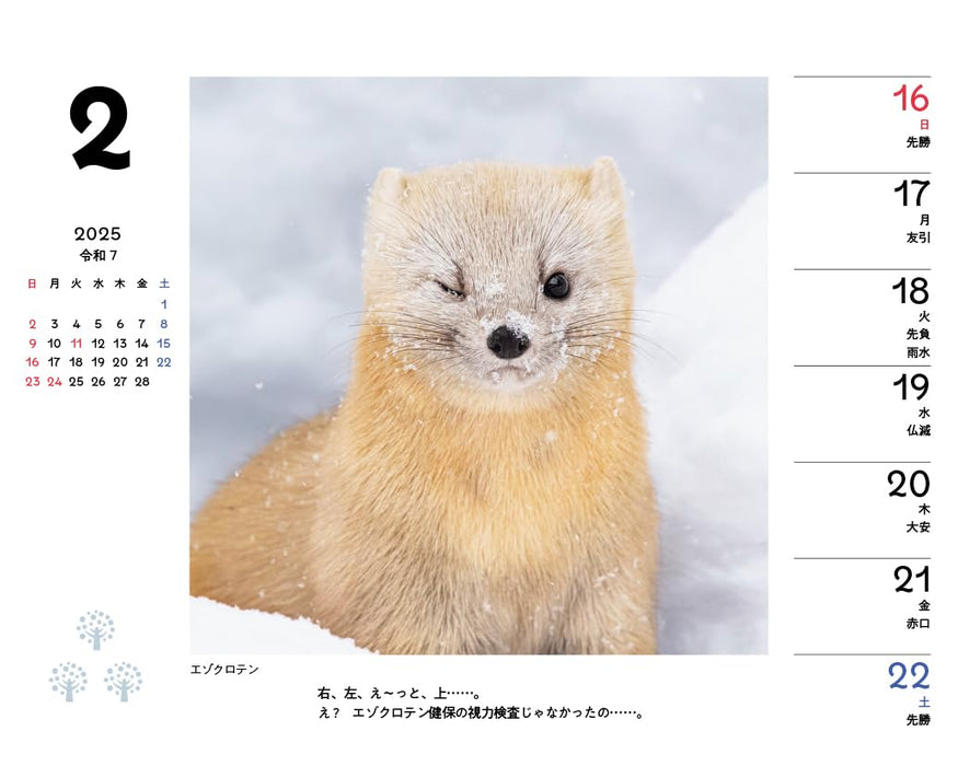 Shimaenaga and Friends of the Forest Weekly Desk Calendar 2025