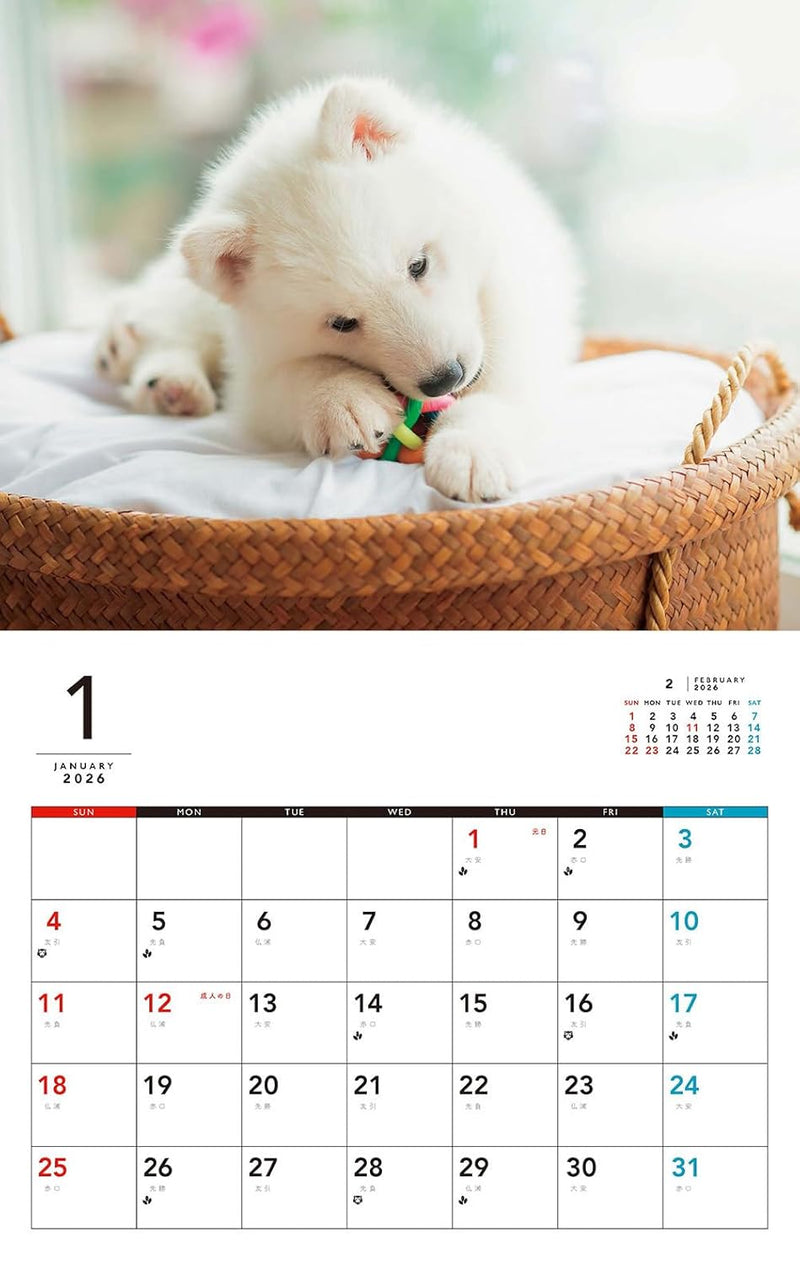 Yochi Yochi Koinu Calendar 2026 (Monthly/Wall Calendar)