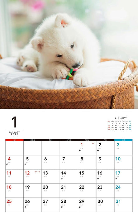 Yochi Yochi Koinu Calendar 2026 (Monthly/Wall Calendar)