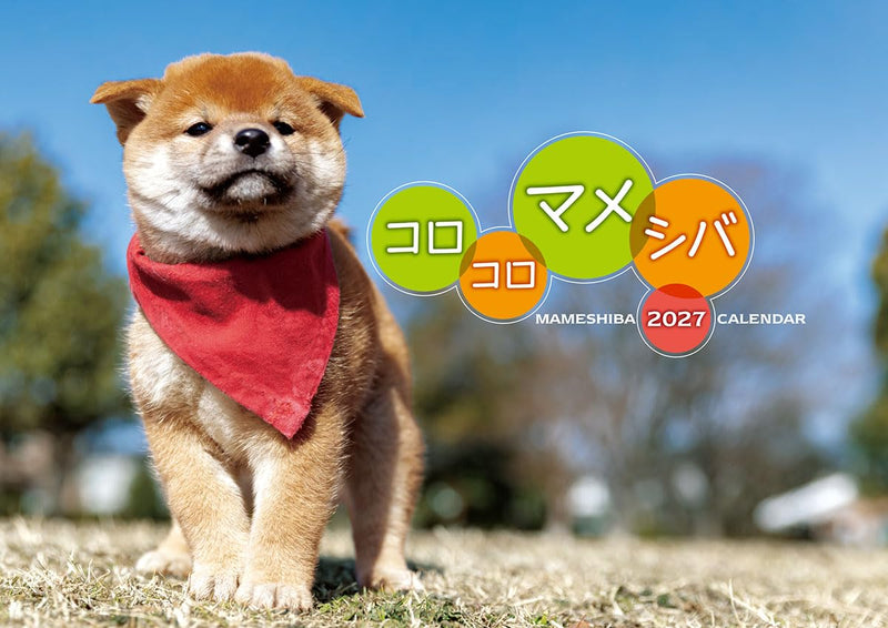 Try-X 2027 Wall Calendar Korokoro Mameshiba 27CL-381 51x36cm