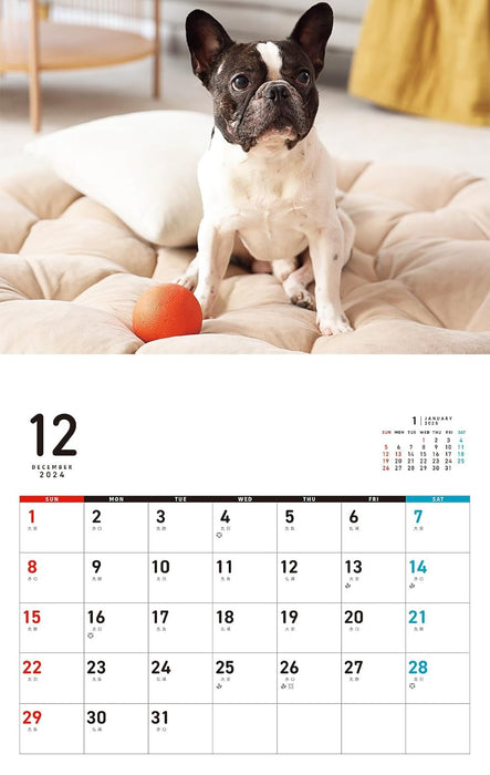 I LOVE French Bulldog Calendar 2025 (Monthly/Wall Calendar)