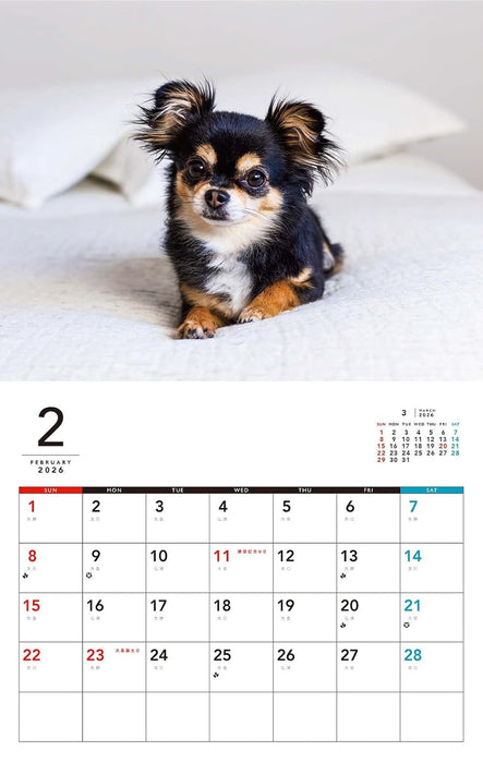 I LOVE Chihuahua Calendar 2026 (Monthly/Wall Calendar)