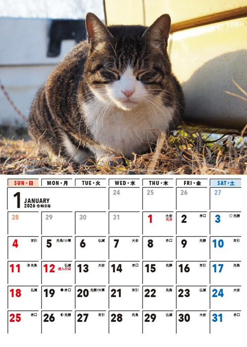 Kimama Neko-sama 2026 Desk Calendar [B6 Vertical Format] S4