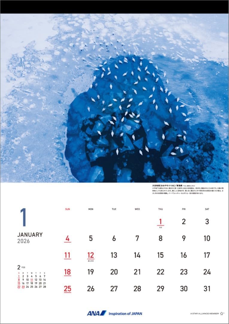 ANA 'Graphic Gallery Bird's eye Japan' 2026 Wall Calendar CL26-1149