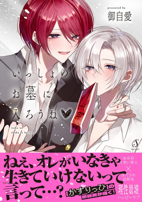 Issho no Ohaka ni Hairou ne?