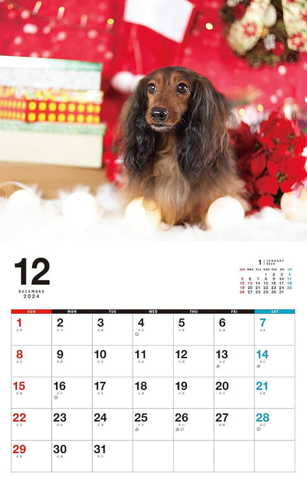 I LOVE Dachshund Calendar 2025 (Monthly/Wall Calendar)