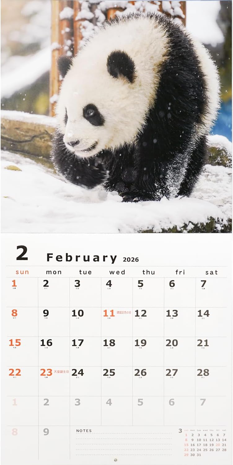 Greeting Life 2026 Wall Calendar Panda C-1668-PA