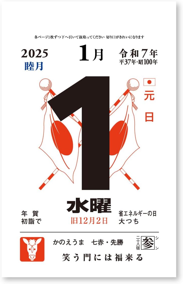 New Japan Calendar 2025 Page-A-Day Calendar 2-go with Reiwa Mount Mallet 97x61mm NK8881
