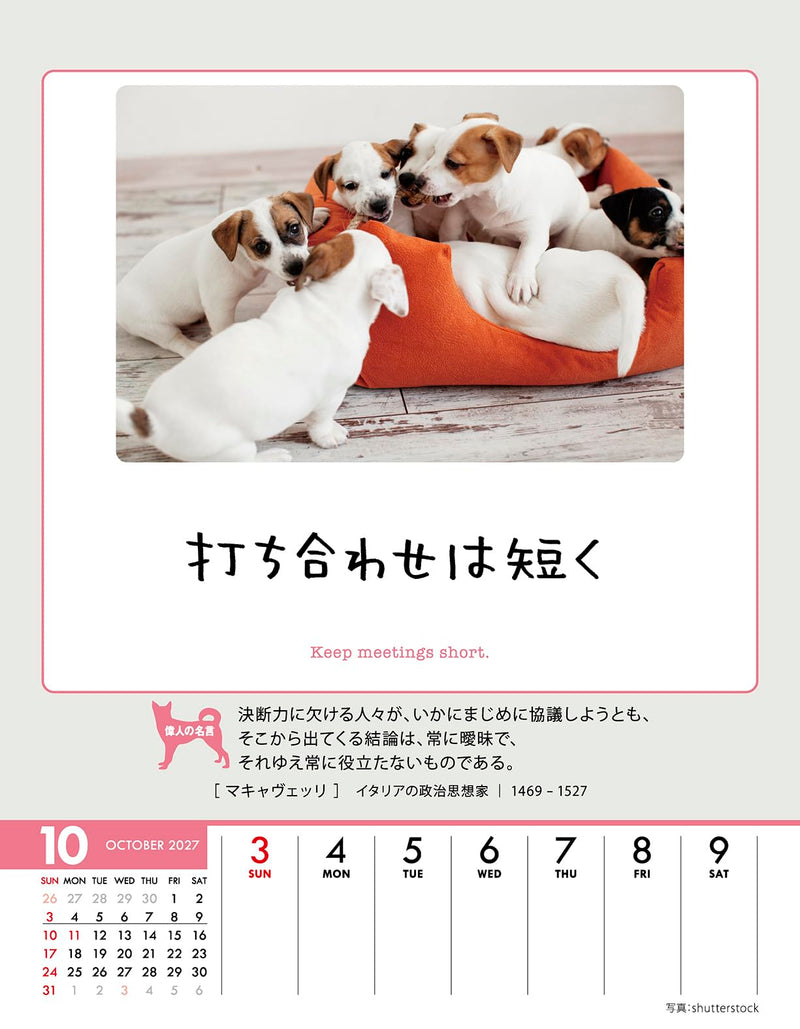 Try-X Only One Chance at Life! 2027 Desk Wall Calendar 27CL-383 18 x 14cm