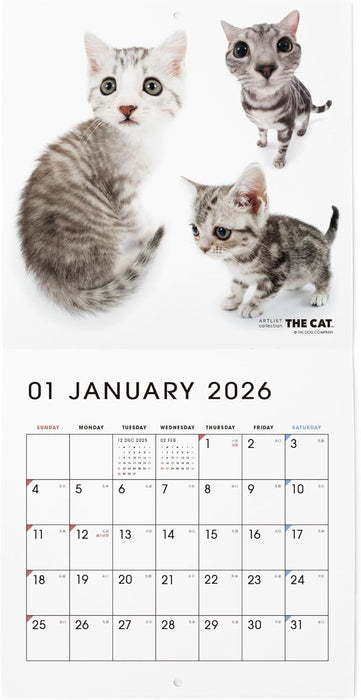 THE CAT 2026 Wall Calendar Mini Size [All Stars]