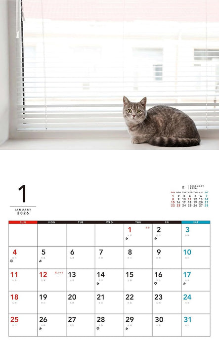 At home with cat Calendar 2026 (Monthly/Wall Calendar)