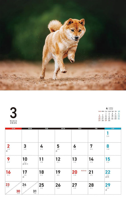 I LOVE Shiba Calendar 2025