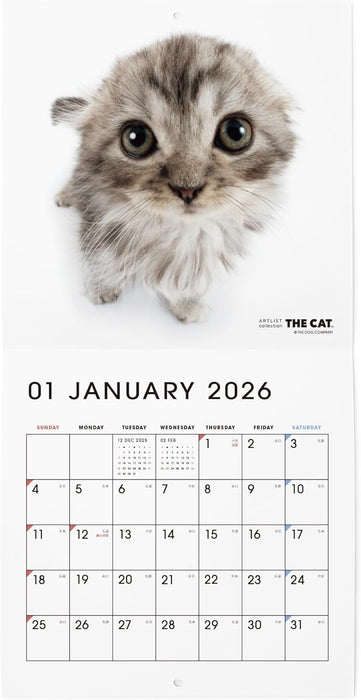 THE CAT 2026 Wall Calendar Mini Size [Scottish Fold]