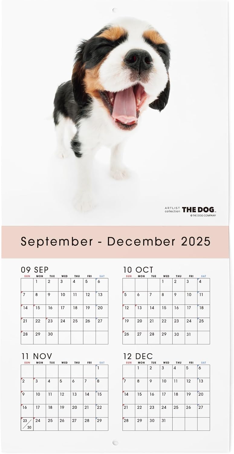 THE DOG 2026 Wall Calendar Mini Size [Cavalier King Charles Spaniel]