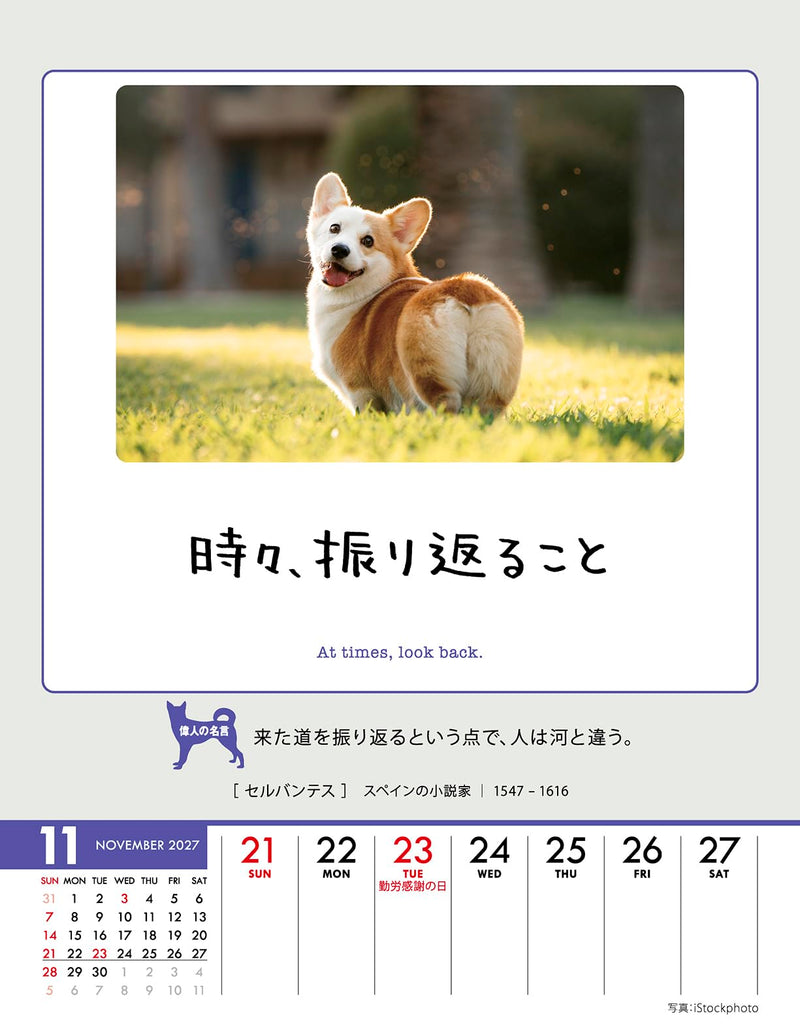 Try-X Only One Chance at Life! 2027 Desk Wall Calendar 27CL-383 18 x 14cm