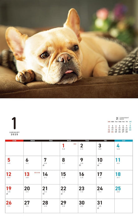 I LOVE French Bulldog Calendar 2025 (Monthly/Wall Calendar)