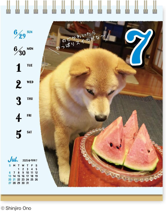 New Japan Calendar 2025 Desk Calendar Shiba Inu Maru's Chatter Weekly Flip NK4308