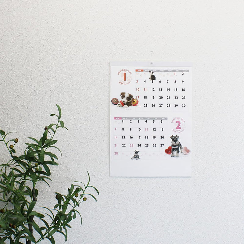 Eco Wall Calendar 2027 B5 E92