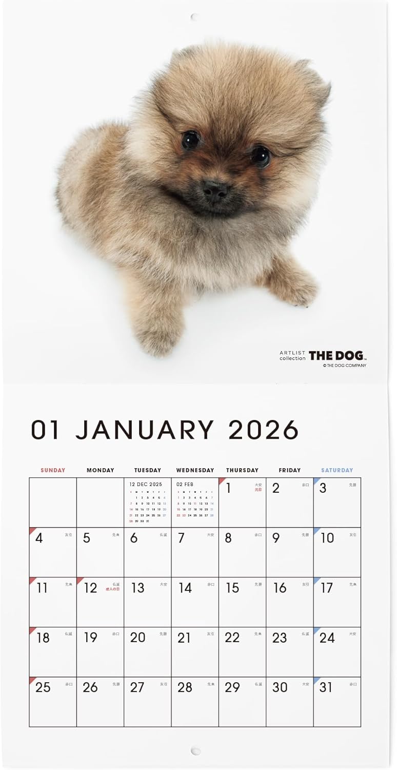 THE DOG 2026 Wall Calendar Mini Size [Pomeranian]