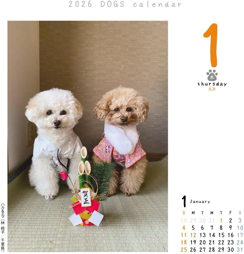 CO2 Dogs 2026 Page-A-Day Calendar CK-D26-01