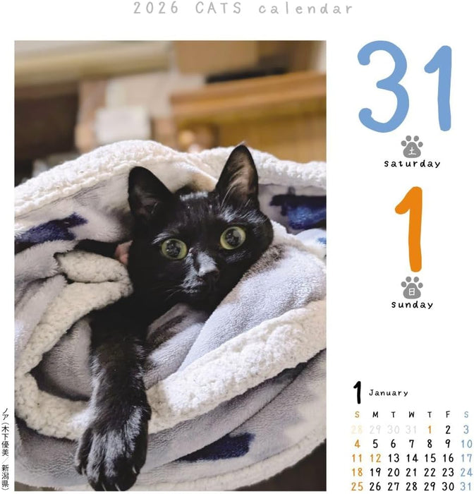 CO2 Cats 2026 Page-A-Day Calendar Refill CK-C26-02
