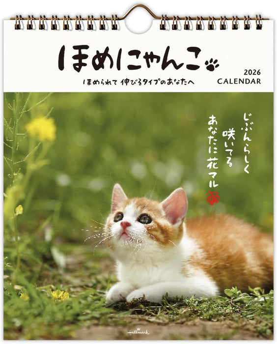 Hallmark 2026 Wall Calendar Homenyanko Small 845407