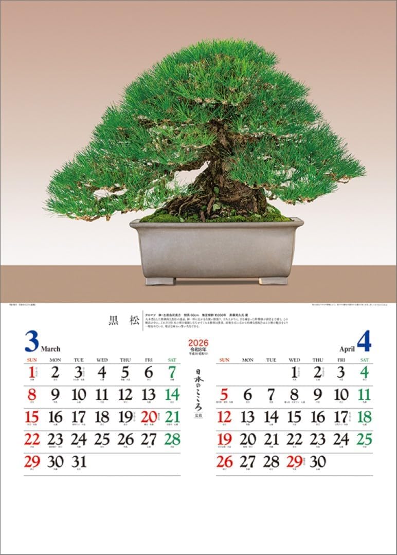 Todan 2026 Wall Calendar Japanese Heart Bonsai TD-721 CL26-1039
