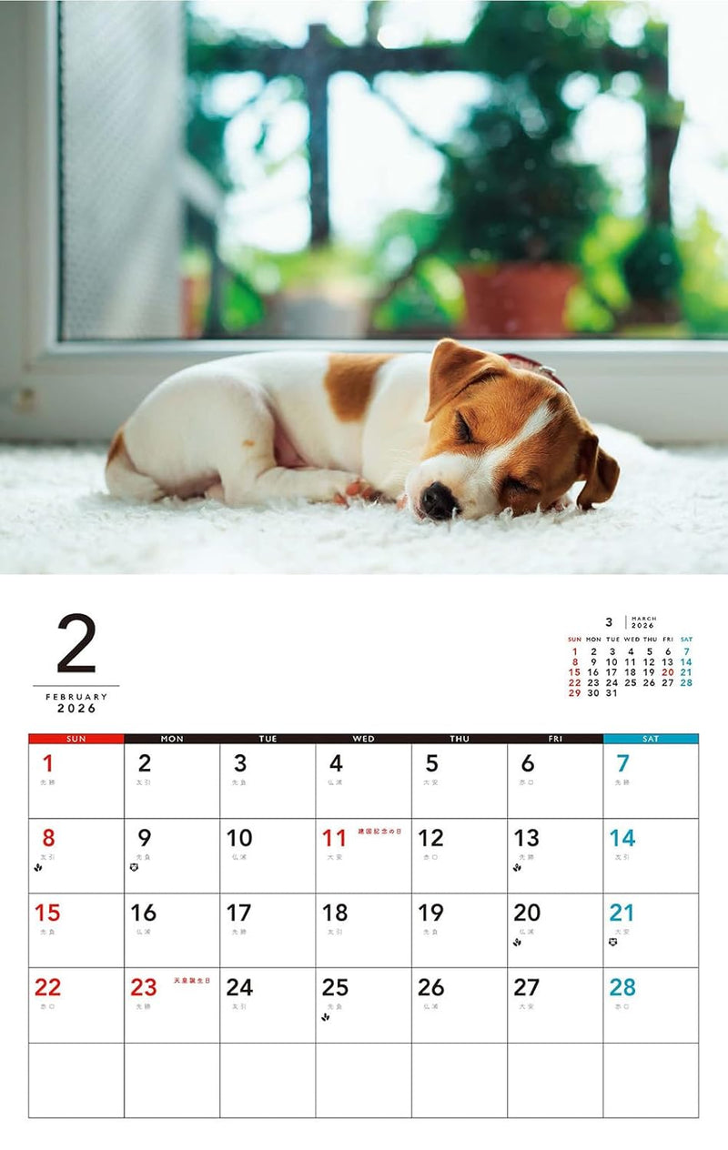 Yochi Yochi Koinu Calendar 2026 (Monthly/Wall Calendar)