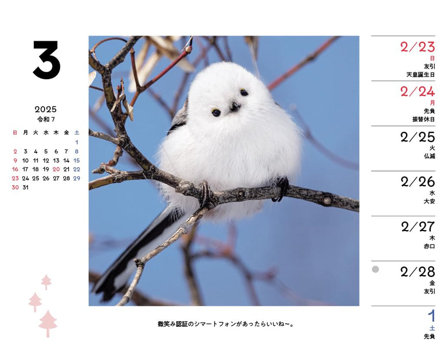 Shimaenaga and Friends of the Forest Weekly Desk Calendar 2025