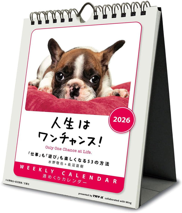 Try-X Only One Chance at Life! 2026 Desk Wall Calendar CL-383 18 x 14cm