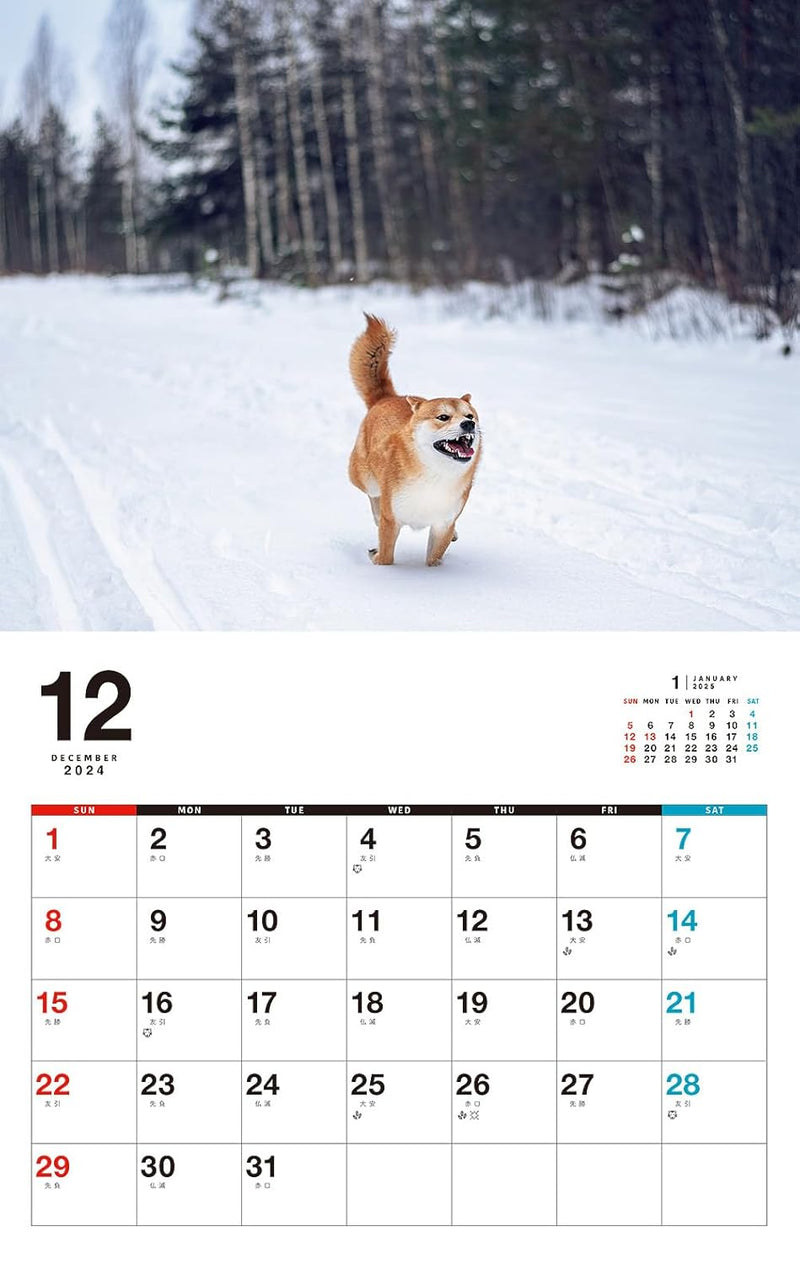 Honobono Shiba Calendar 2025 (Monthly/Wall Calendar)
