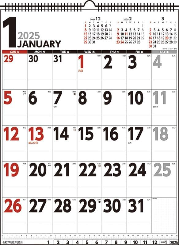 Try-X 2025 Wall Calendar Schedule Vertical Type CL-639 49x37cm