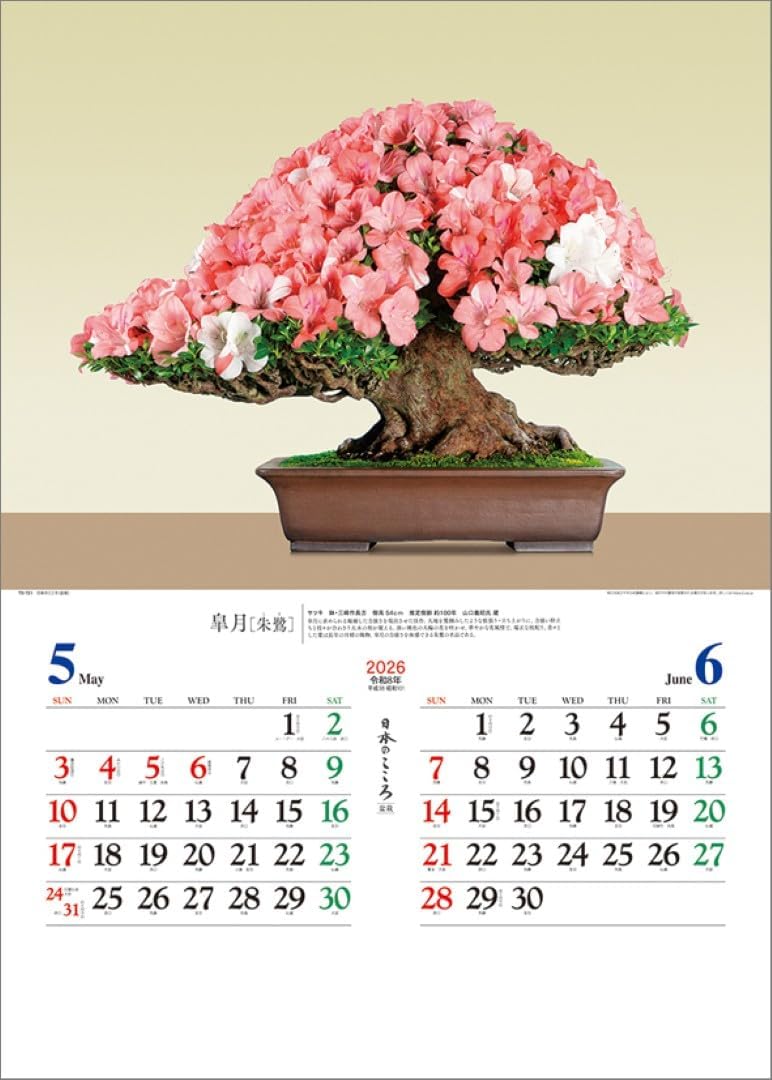 Todan 2026 Wall Calendar Japanese Heart Bonsai TD-721 CL26-1039