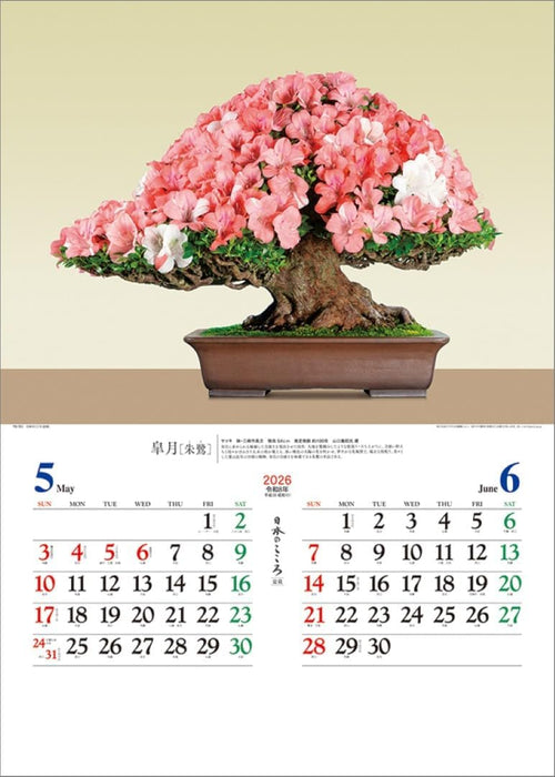 Todan 2026 Wall Calendar Japanese Heart Bonsai TD-721 CL26-1039