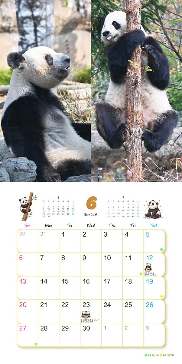 Try-X Xiang Xiang Xiaoxiao Lei Lei 2027 Wall Calendar 27CL-385 48 x 24cm