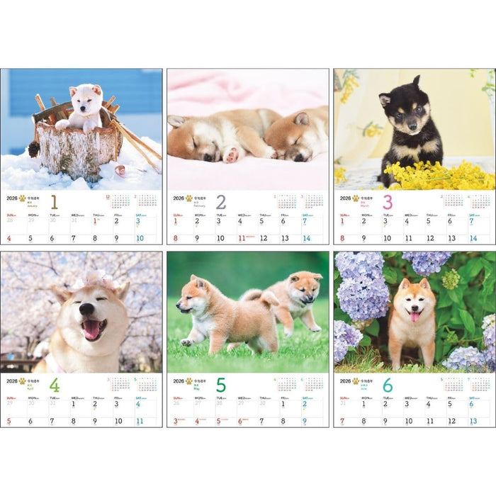 JTB Calendar Wanko 2026 Wall Calendar