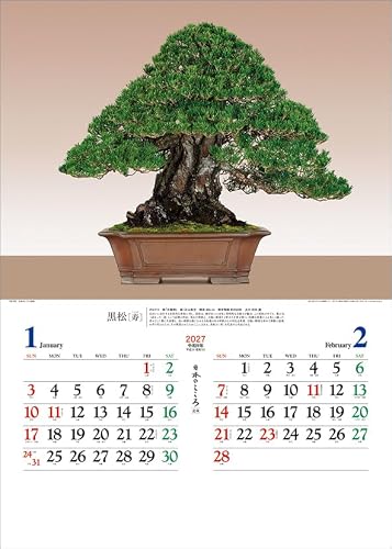 Todan 2027 Wall Calendar Japanese Heart Bonsai CL27-1039