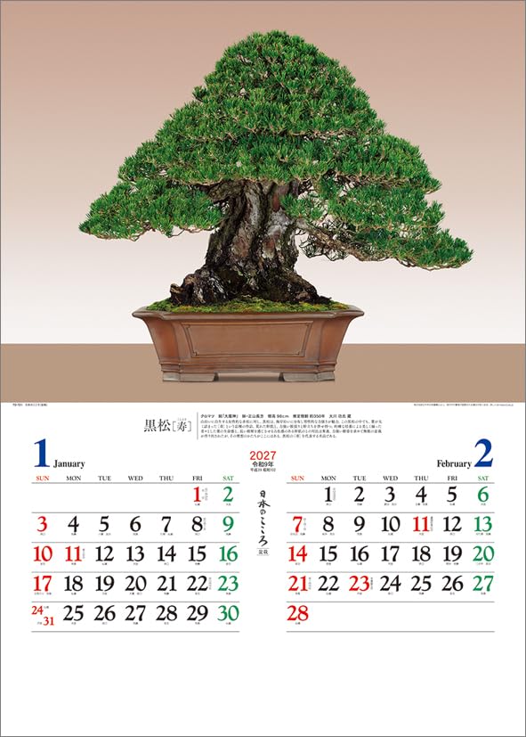 Todan 2027 Wall Calendar Japanese Heart Bonsai CL27-1039
