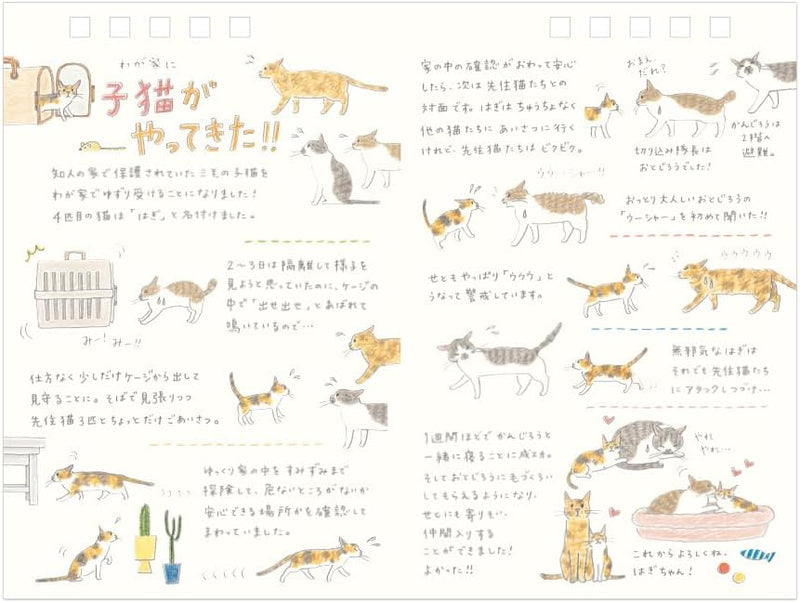 Midori 2026 Desk Calendar M Cat Pattern 31362006