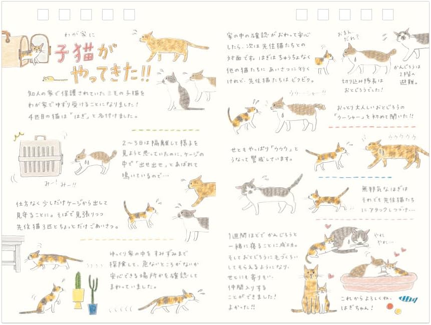 Midori 2026 Desk Calendar M Cat Pattern 31362006