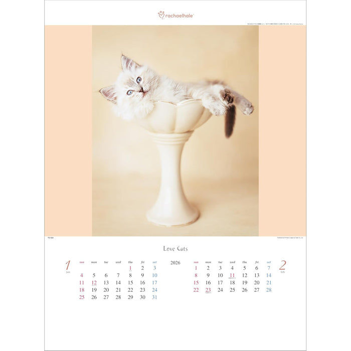 Todan 2026 Wall Calendar Love Cat - Rachel Hale Works - 53.5 x 38cm TD-934