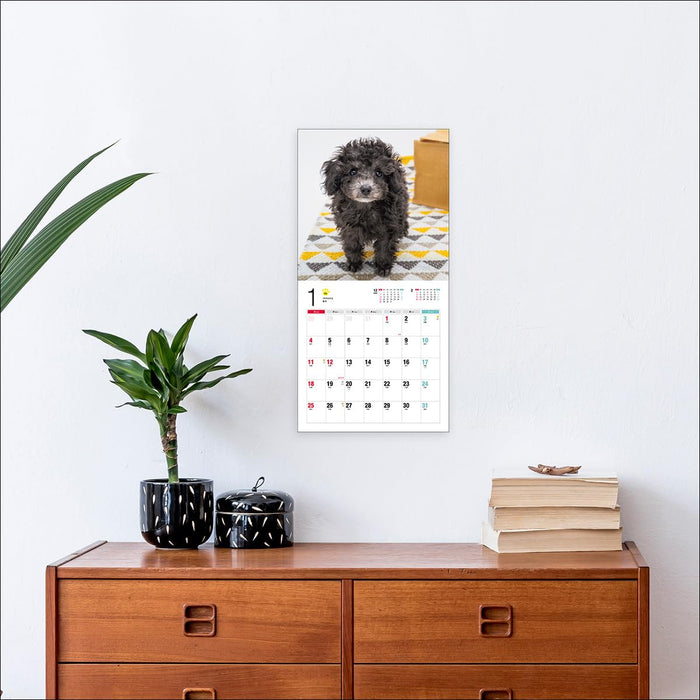 2026 Toy Poodle Calendar