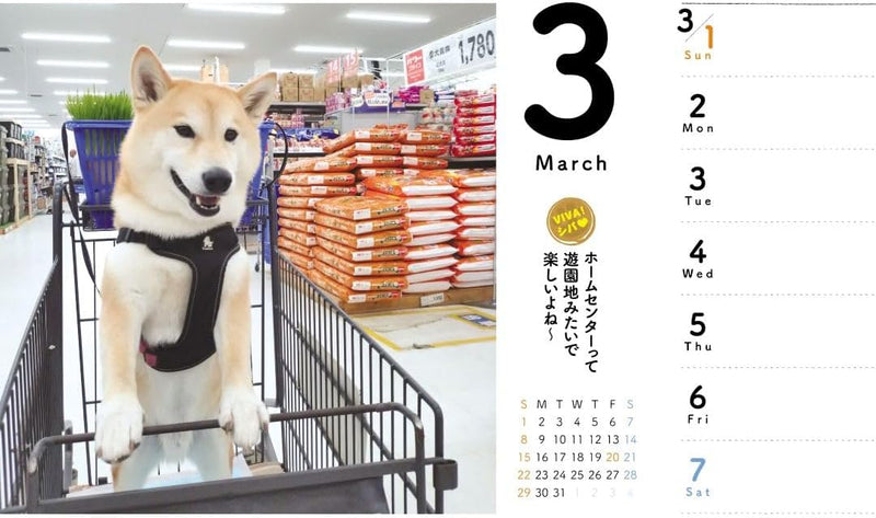 CO2 Shiba Inu 2026 Desk Calendar CK-D26-03