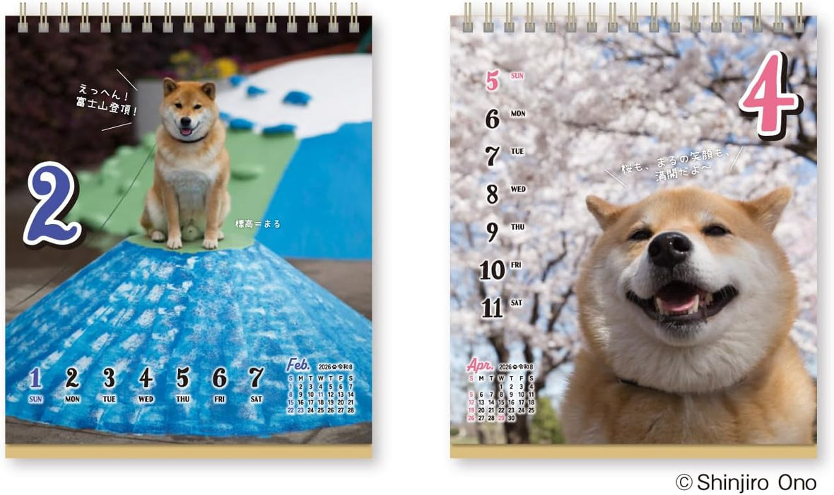 New Japan Calendar 2026 Desk Calendar Shiba Inu Maru's Chatter Weekly Flip NK4600