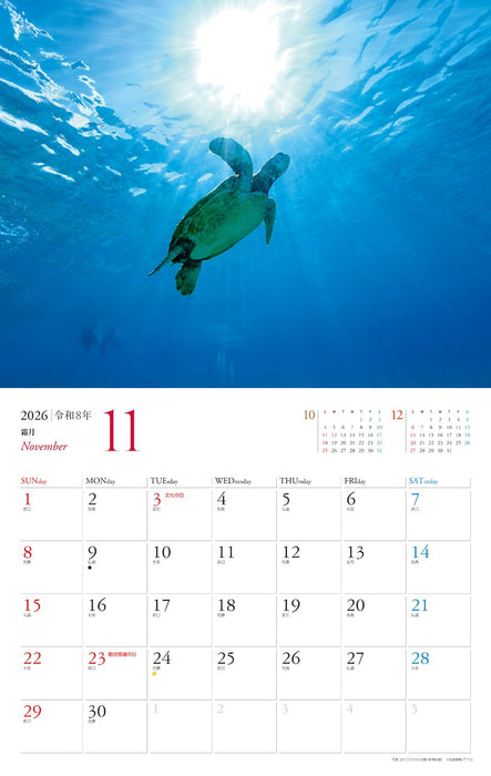JTB Calendar Tropical Oceanic Islands OKINAWA 2026 Wall Calendar