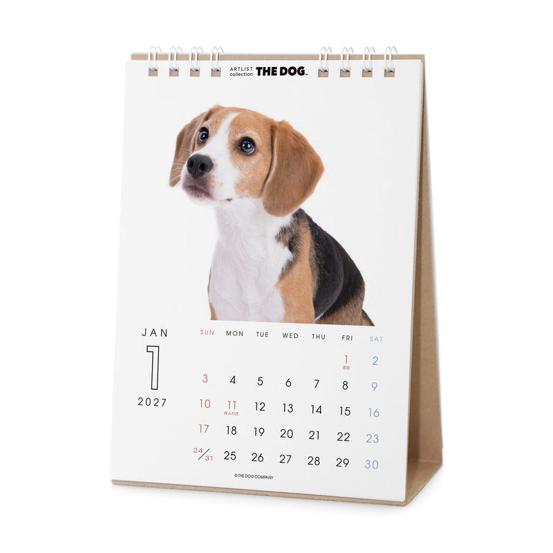 THE DOG 2027 Desk Calendar [Beagle]