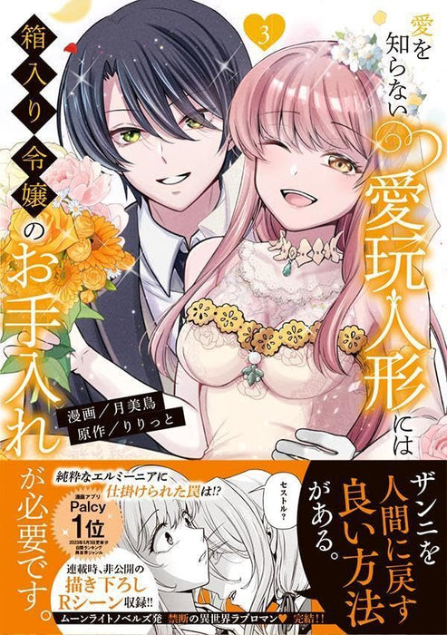 Ai wo Shiranai Aigan Ningyou ni wa Hakoiri Reijou no Oteire ga Hitsuyou desu. 3