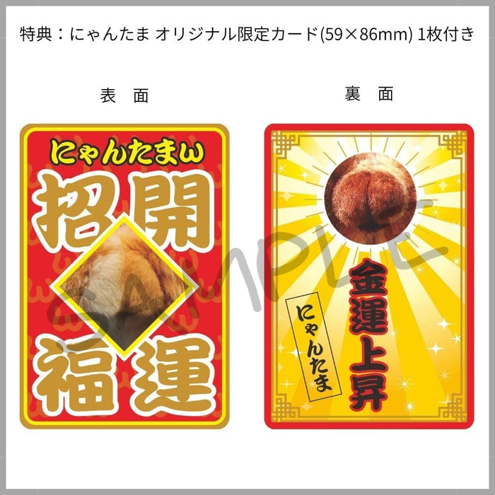 Hagoromo Good Luck!! Nyantama 2026 Wall Calendar Rumiko Yoshizawa CL26-0395